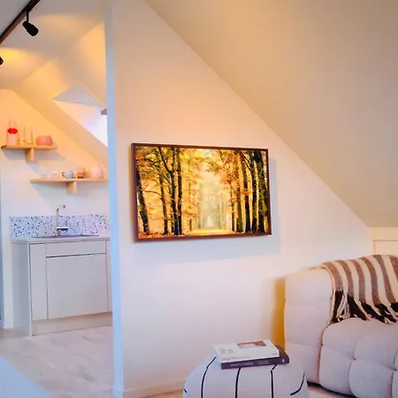 Aurora Loft - - Panoramic Views & Free Parking